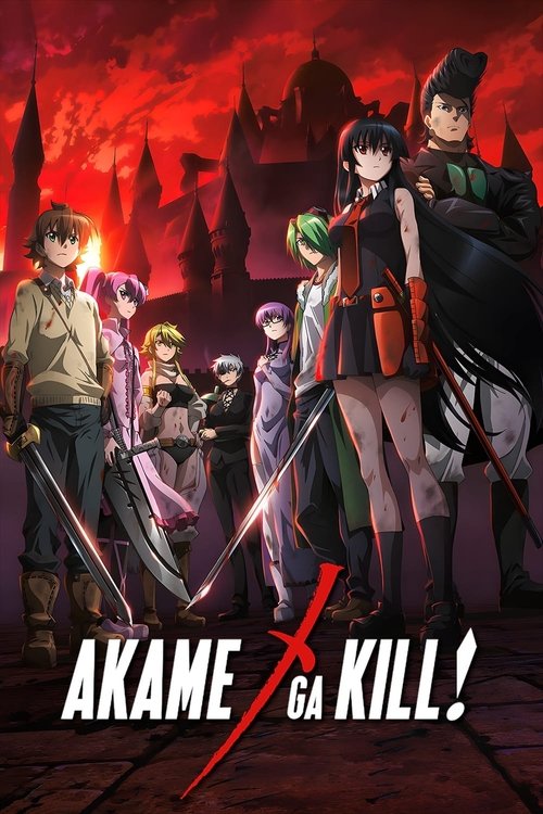 Affiche de Red Eyes Sword : Akame Ga Kill!
