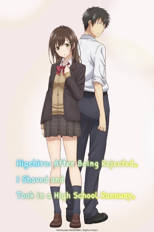 Affiche de Higehiro