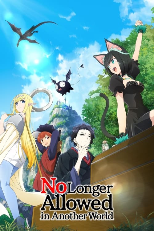Affiche de No Longer Allowed In Another World