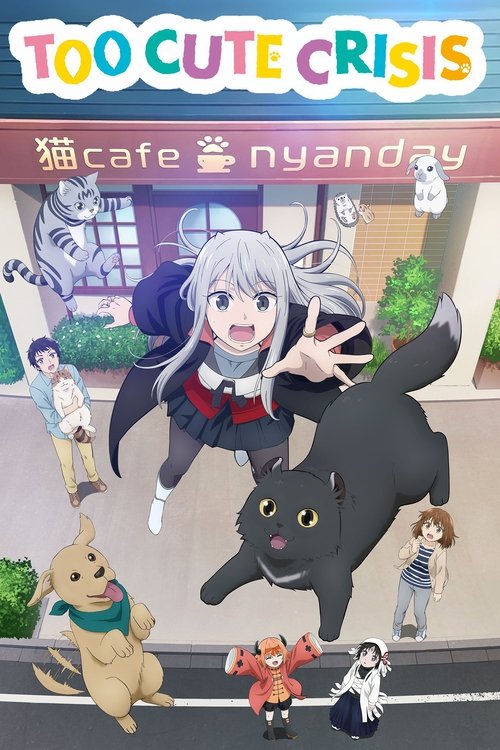 Affiche de Too Cute Crisis