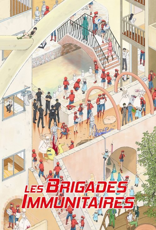 Affiche de Les Brigades Immunitaires
