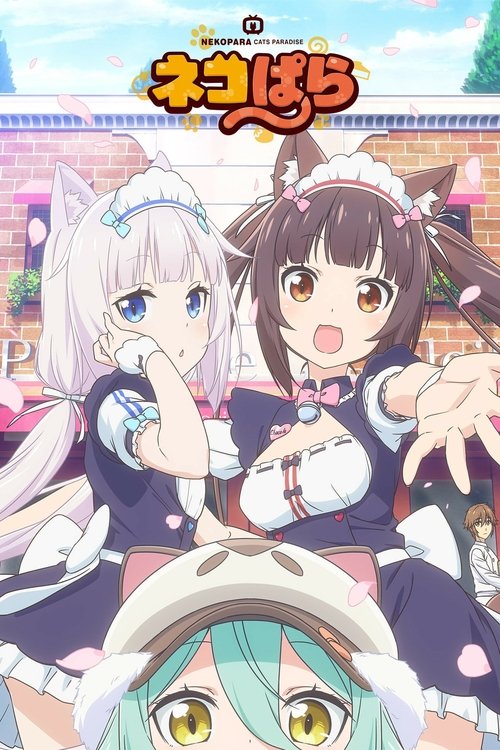 Affiche de Nekopara