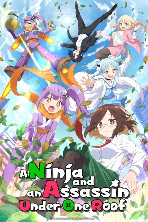 Affiche de A Ninja And An Assassin Under One Roof