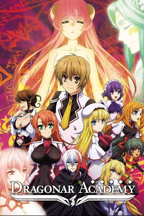 Affiche de Seikoku No Dragonar