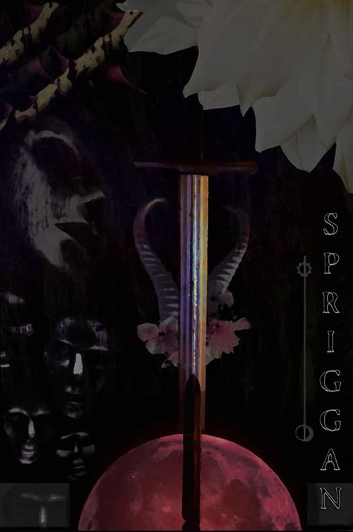 Affiche de Spriggan