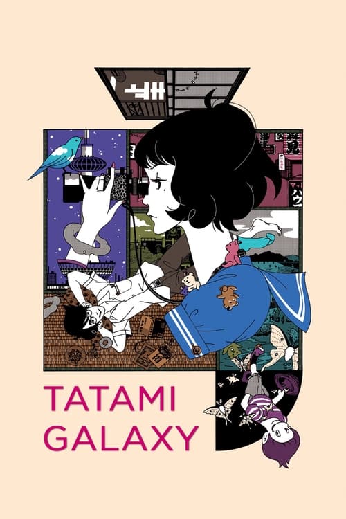 Affiche de The Tatami Galaxy